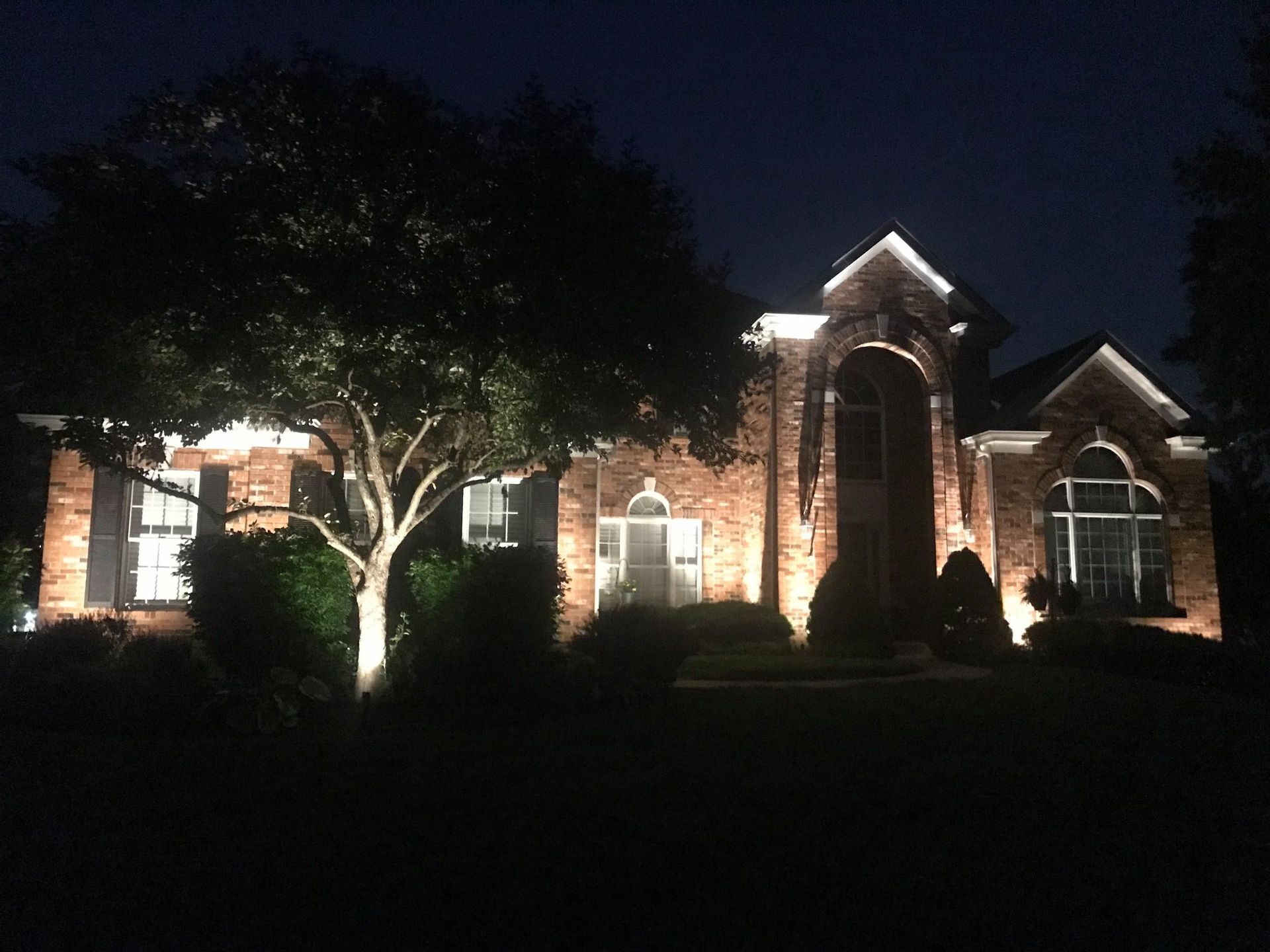 Brick house lit up at night with arched windows and a large tree in the front yard