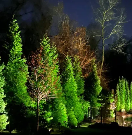 Night-lit garden with bright green illuminated trees against a dark sky