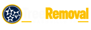 Yellow “Removal” text with a blue circular star logo on a white background