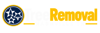Yellow “Removal” text with a blue circular star logo on a white background