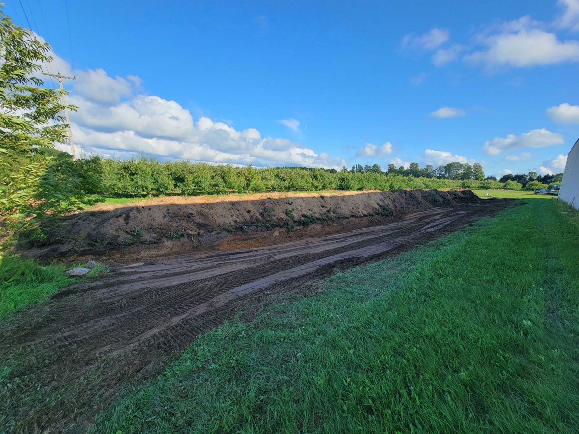 Mild Excavation
