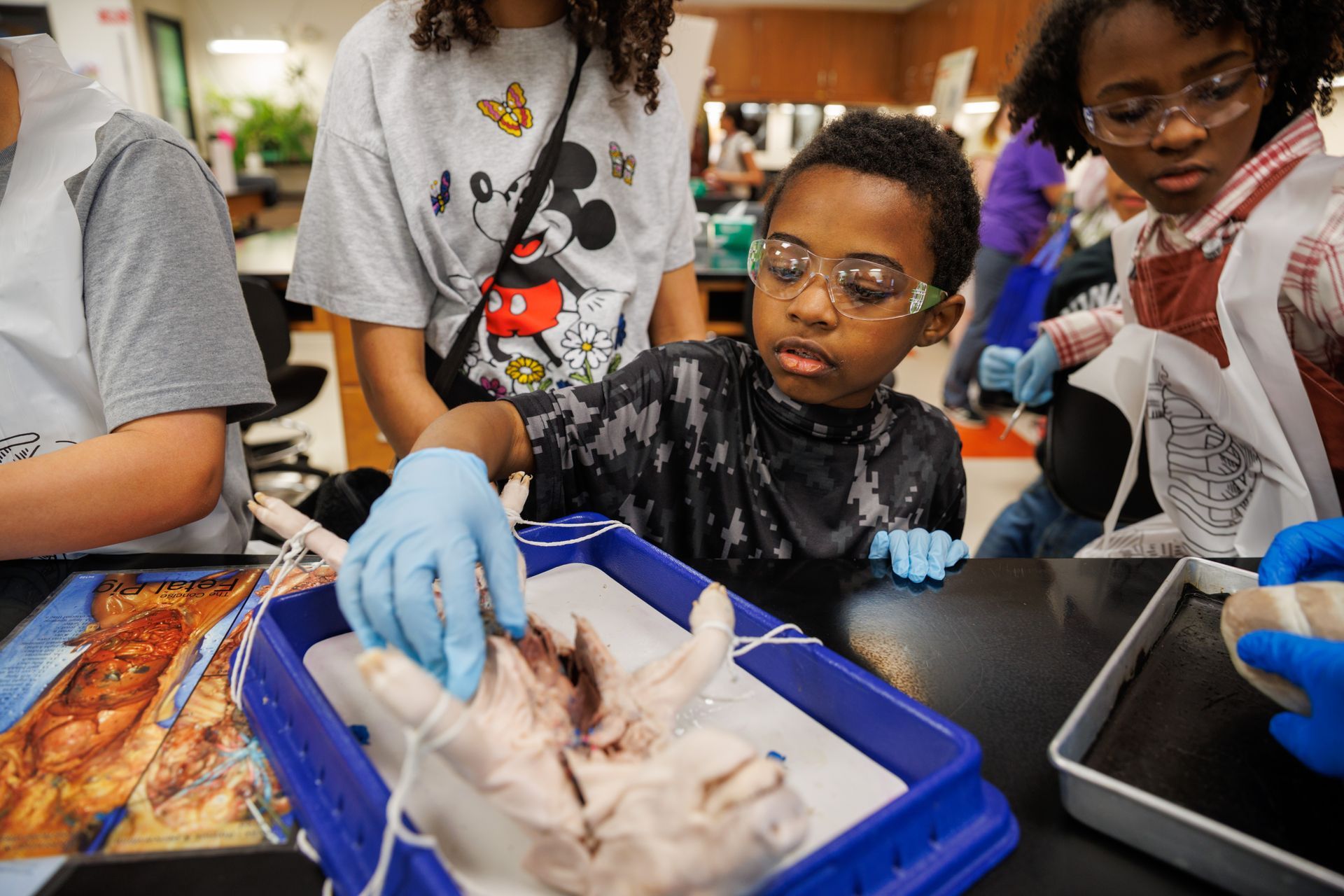 Kids in lab coats and safety glasses dissect a specimen in a classroom.