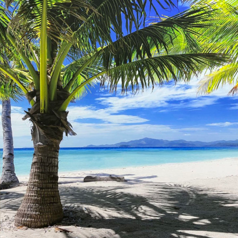 Island background backdrop