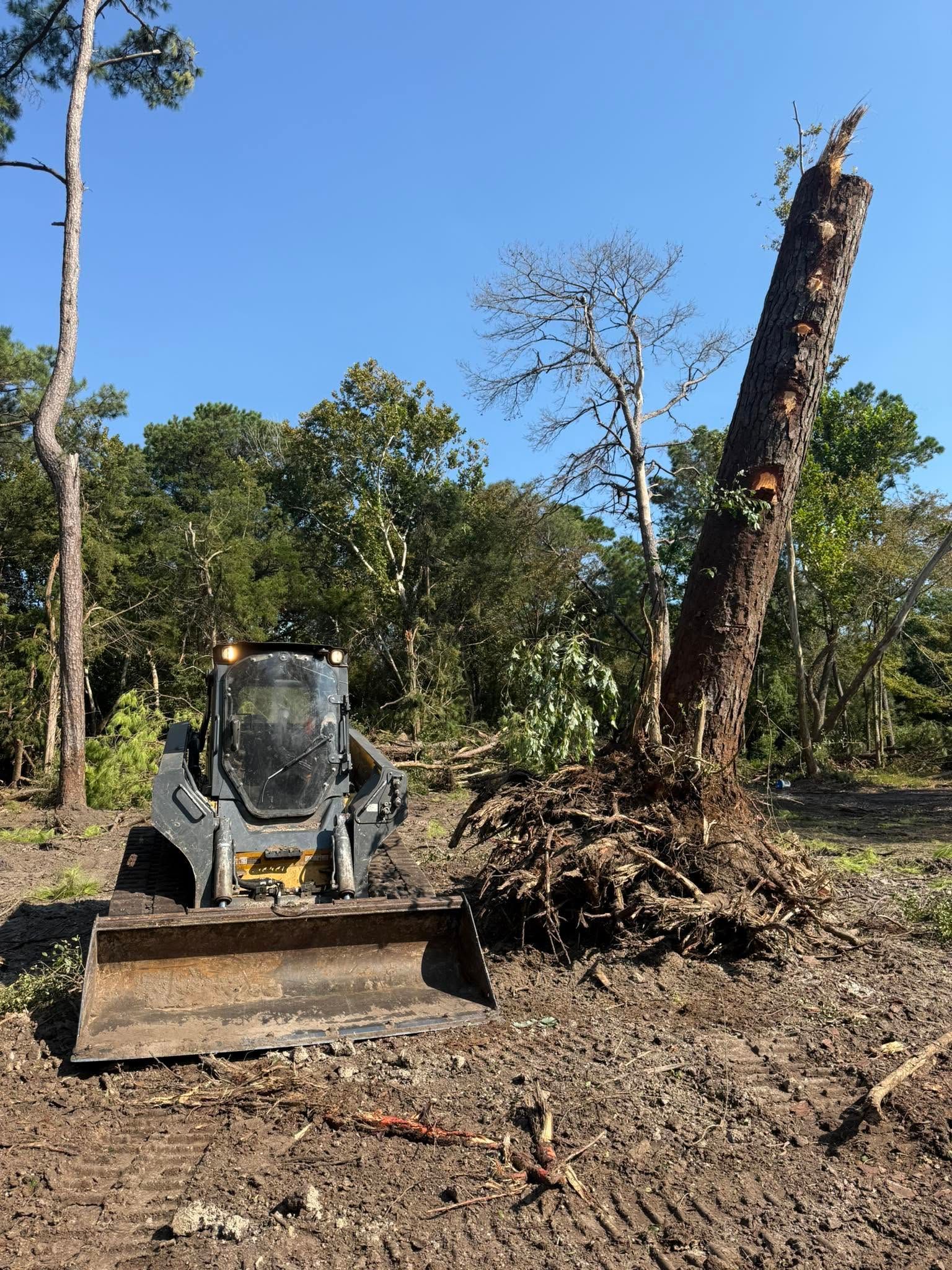 Bulldozer pushing debris in a cleared wooded area under a blue sky