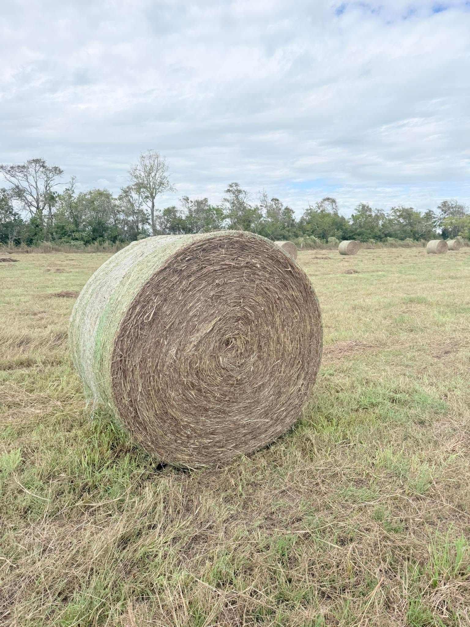 Round hay bale in a dry grassy field under a cloudy sky.