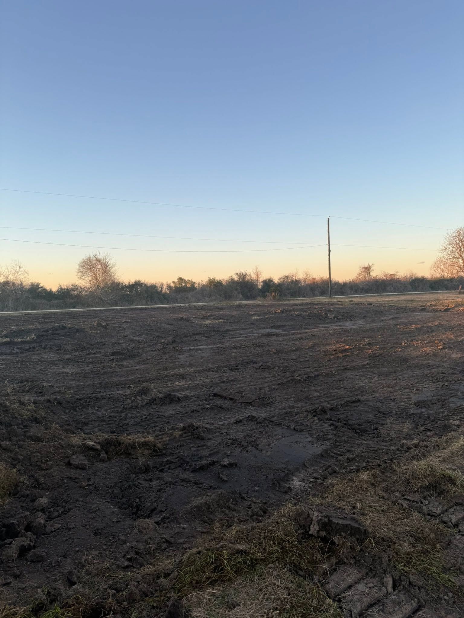 Open field at dusk with a clear sky and silhouetted trees on the horizon
