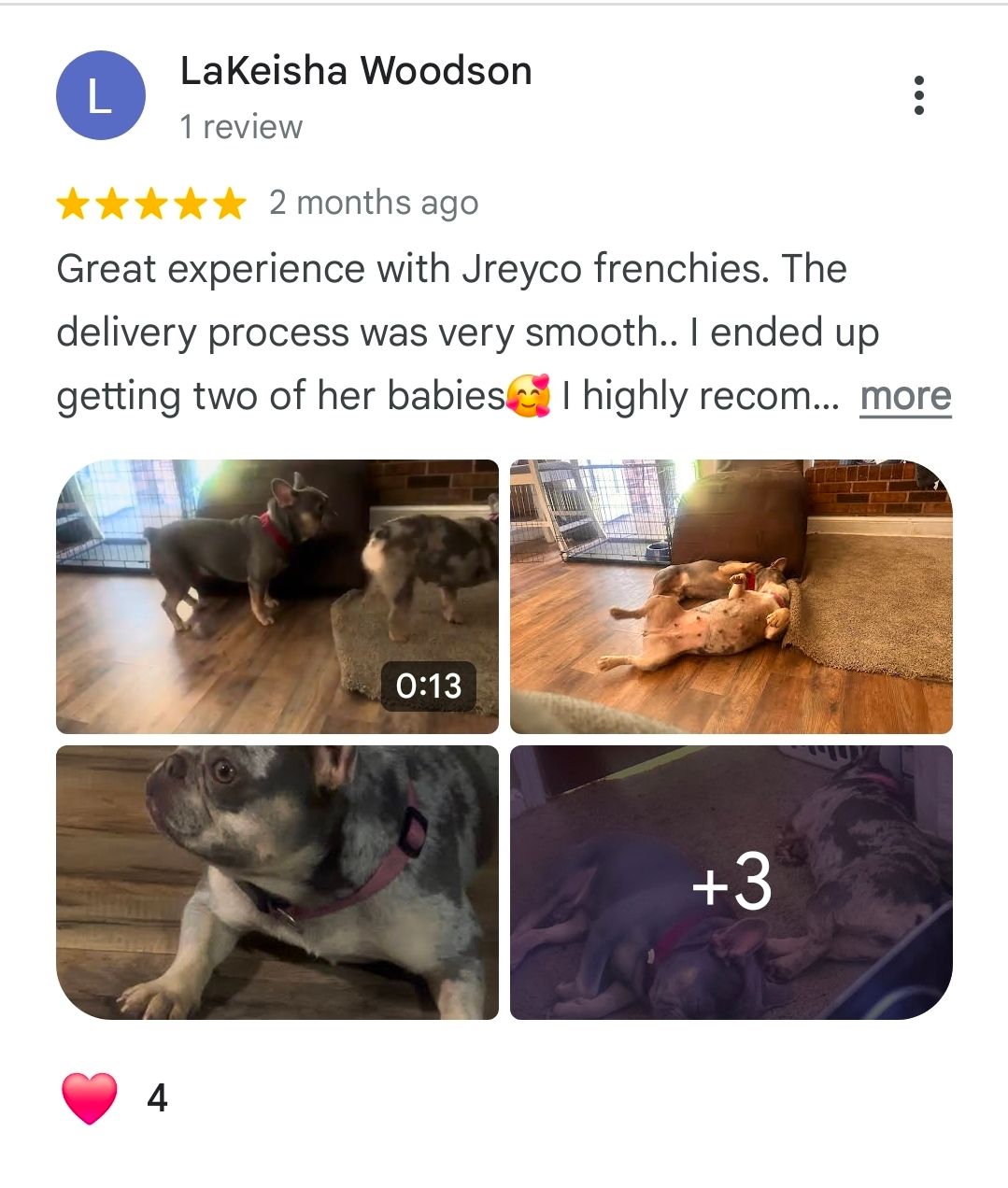 t praising a smooth delivery great customer service beautiful dogs/puppies