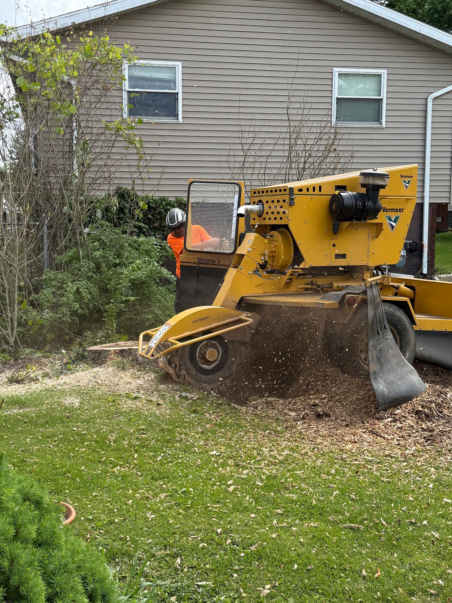 A Stump Grinder is Grinding a Tree Stump in a Yard — Julian, PA — Aikey’s Tree Service