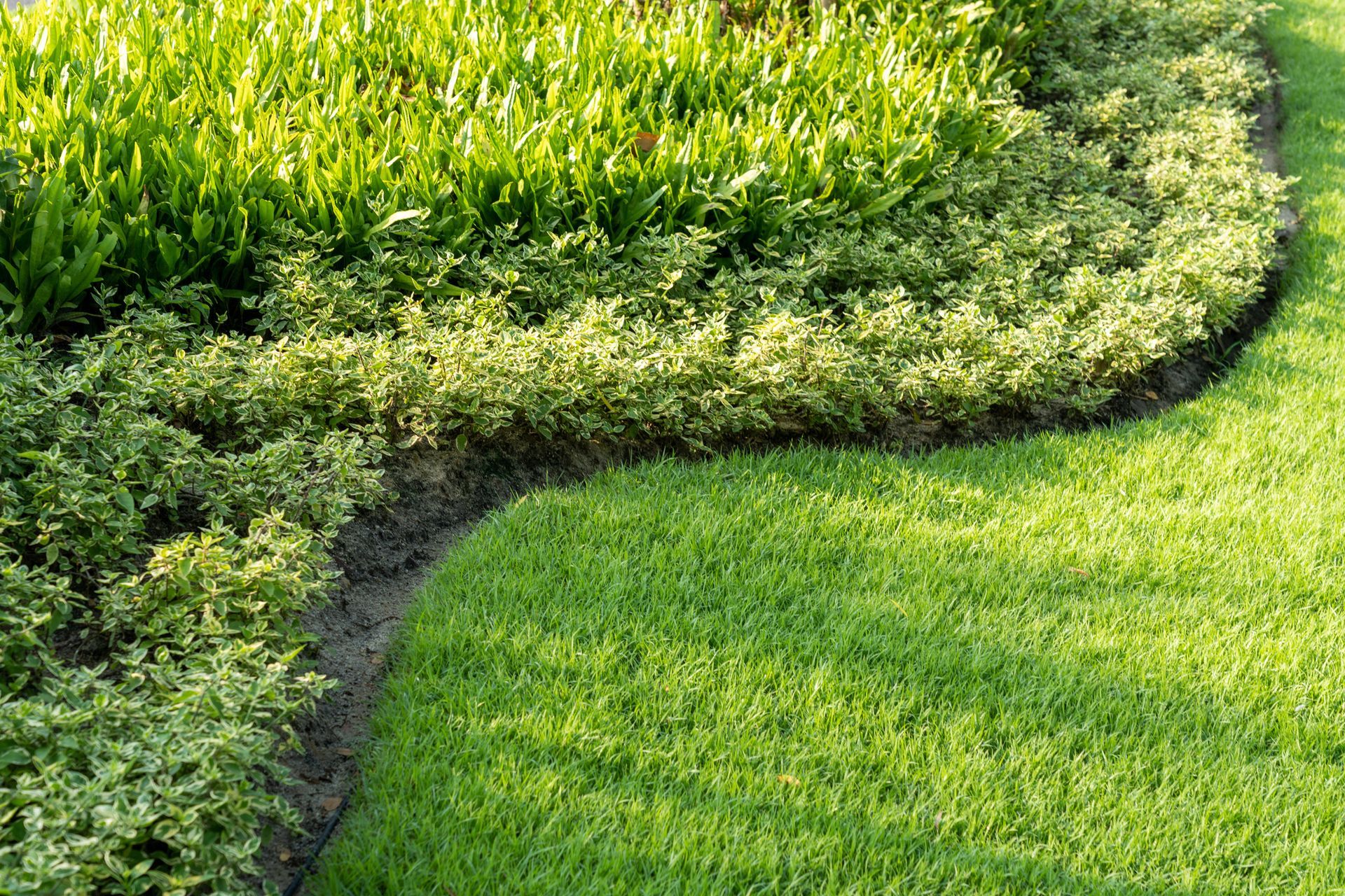 Grass - Pawling, NY - ARB Creations LLC
