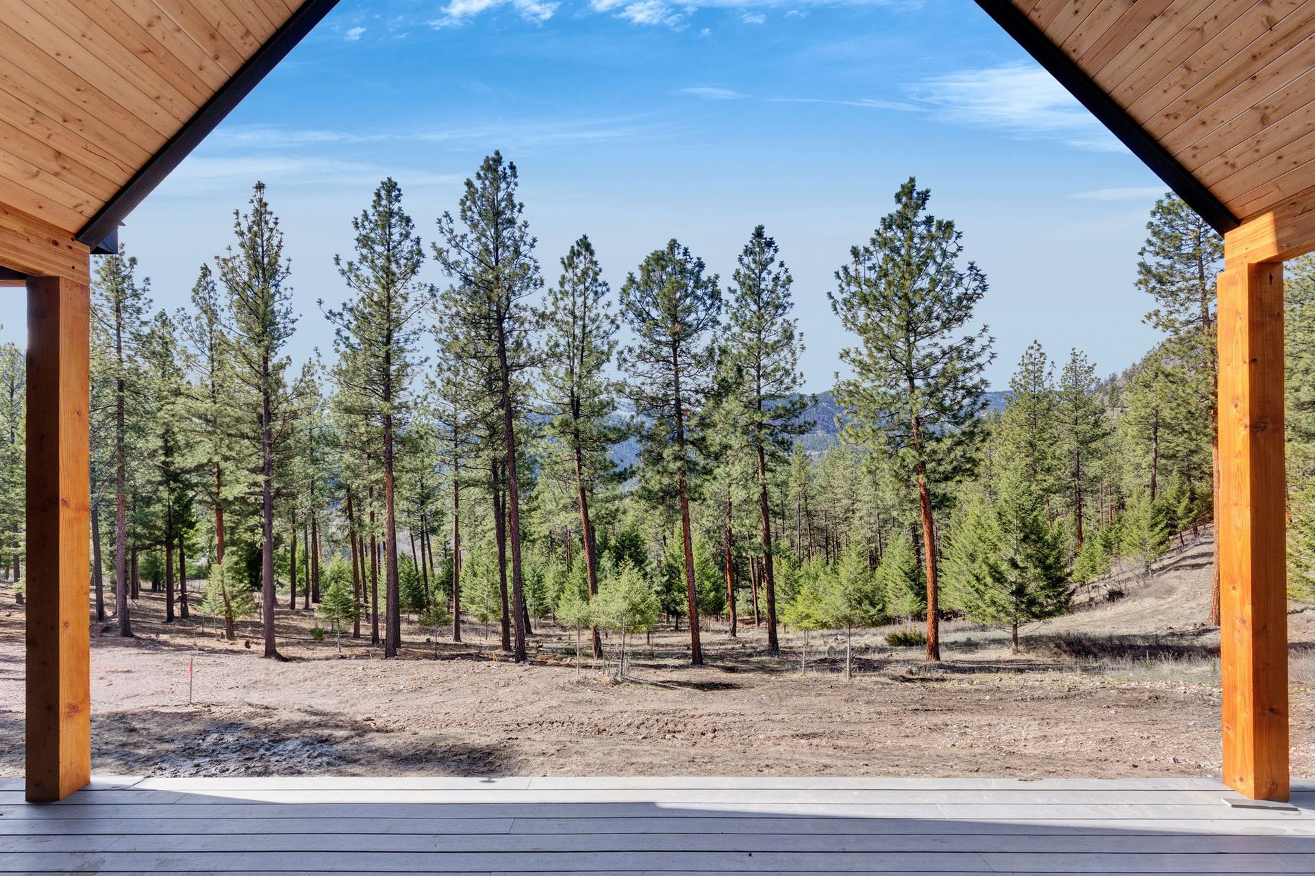 Wooden porch framing a sunny pine forest and blue sky