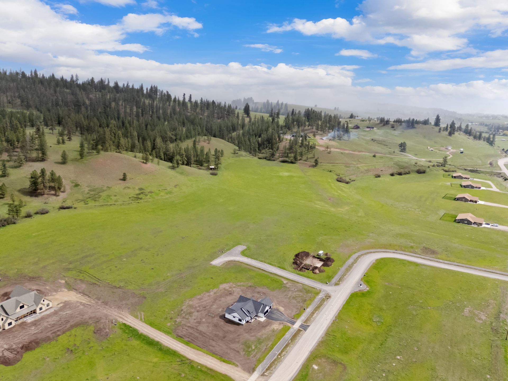 Aerial view of green fields, scattered houses, and forest under a partly cloudy sky.