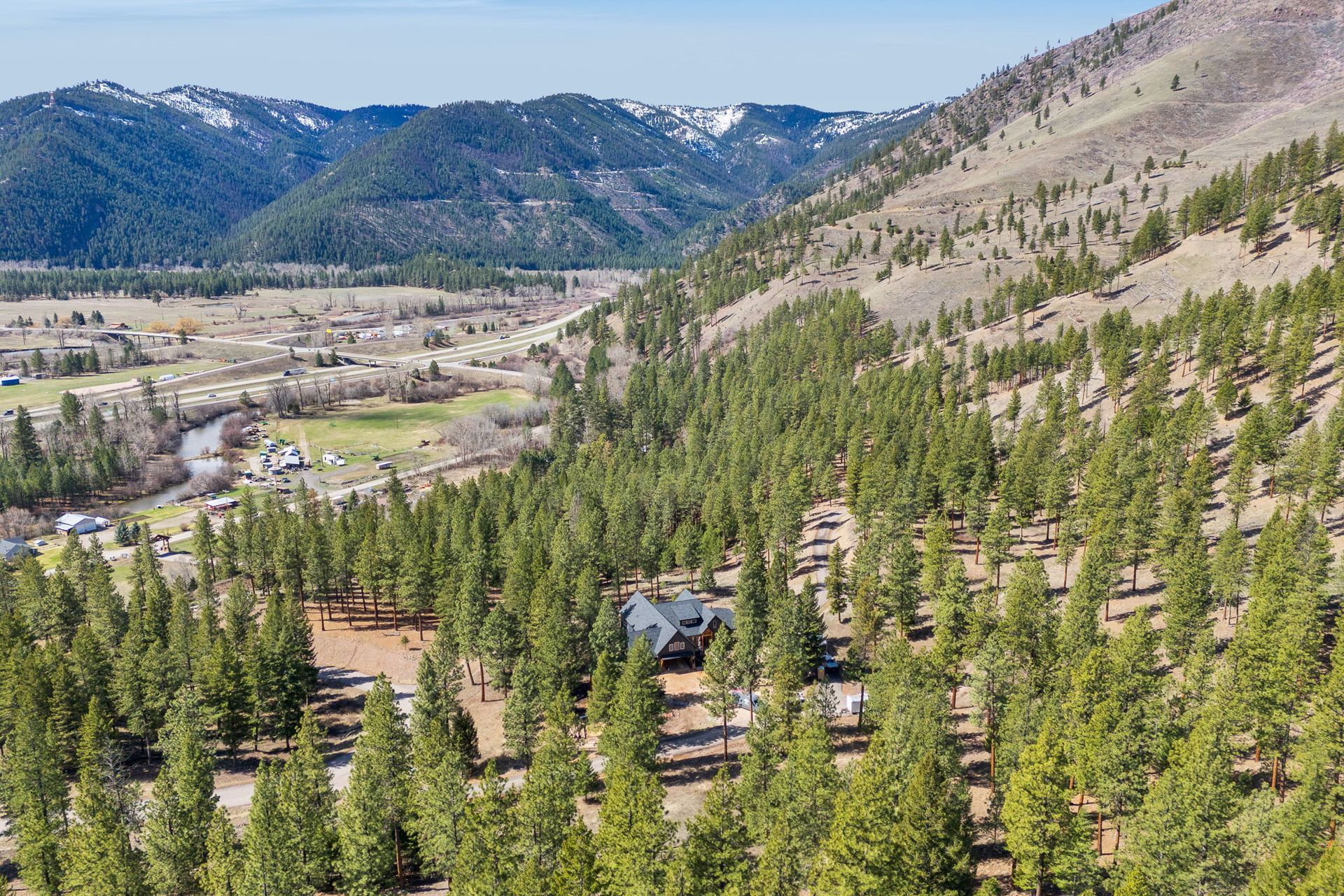 Mountain valley with dense pine forest, river, and distant blue hills under a clear sky