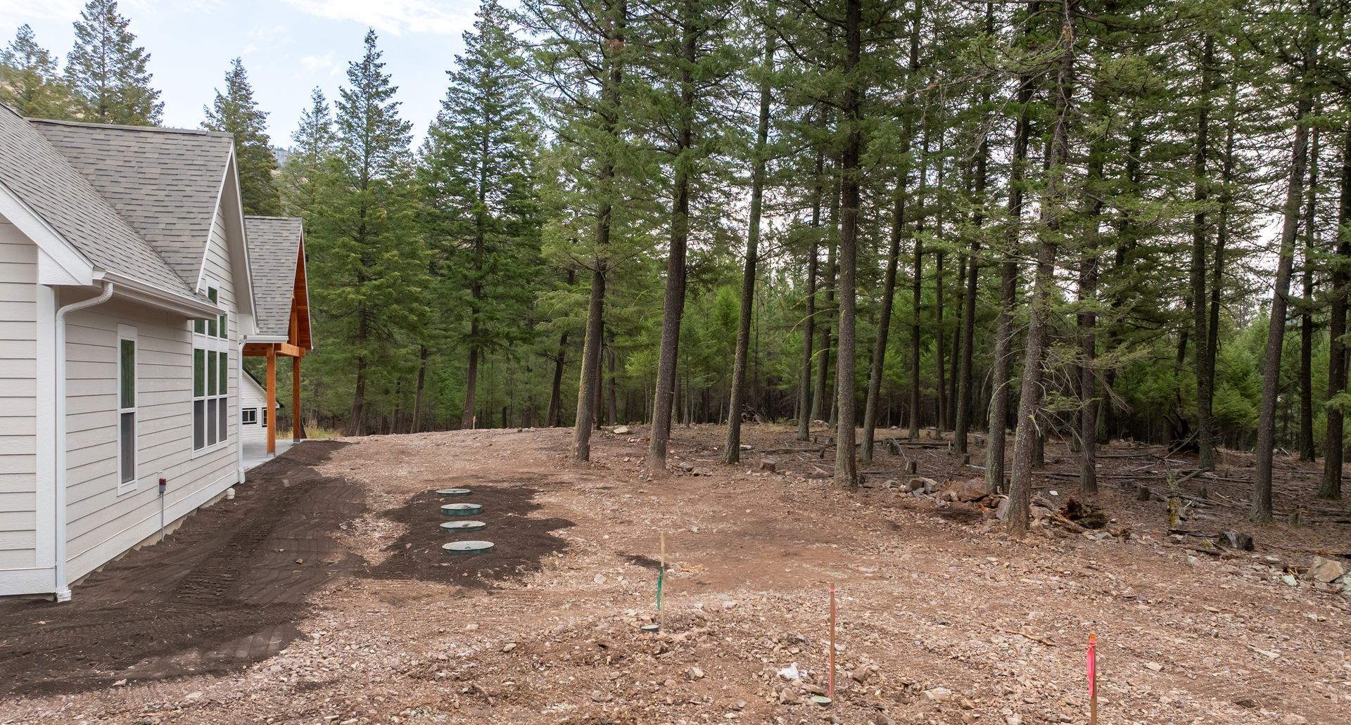 White house beside a dirt yard and pine forest on a cloudy day