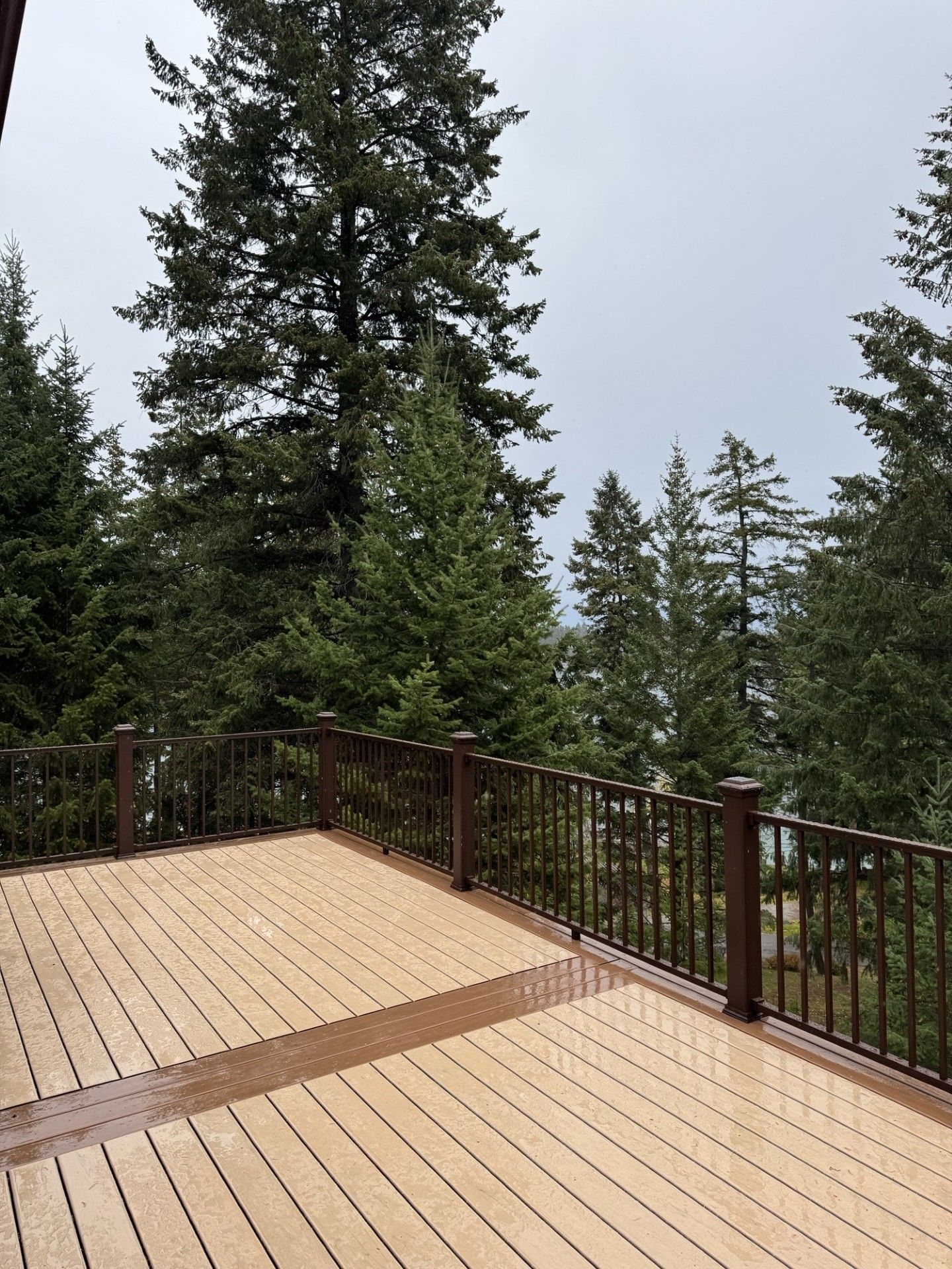 Wooden deck overlook with metal railing, surrounded by tall evergreen trees under a cloudy sky