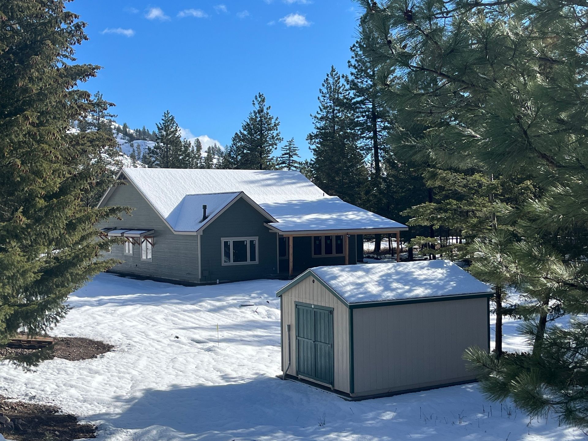 Snow-covered cabin and shed among pine trees under a blue sky.