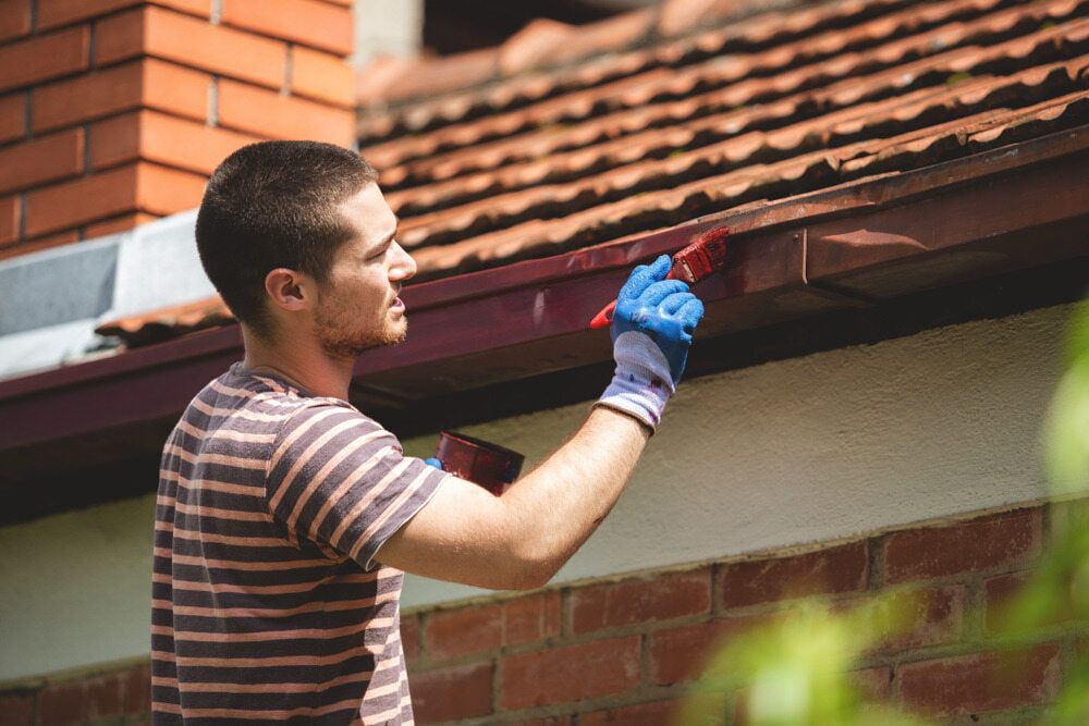 A Man is Painting the Gutters of a House With a Brush — Prota NT in Howard Springs, NT