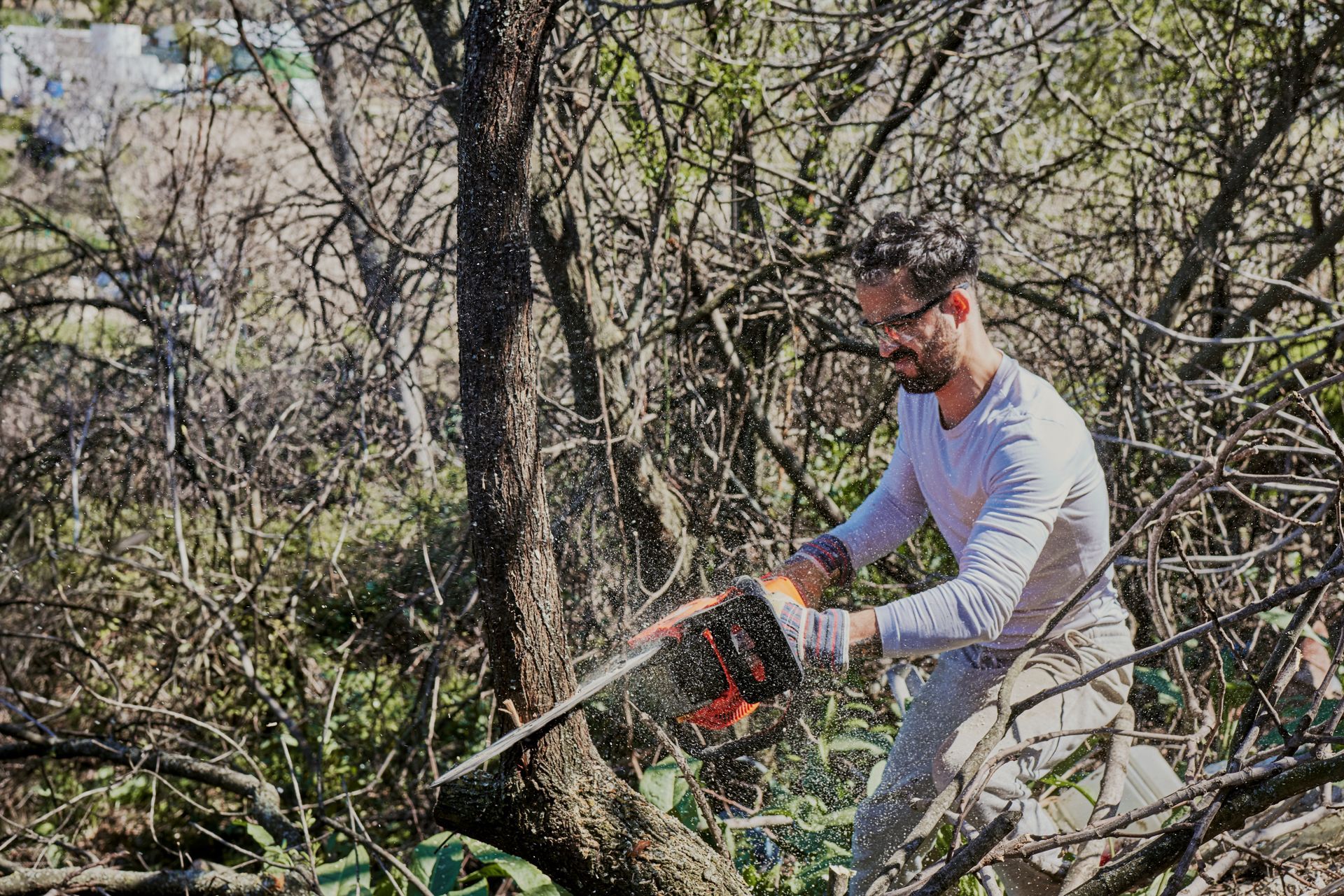 A man is cutting a tree with a chainsaw in the woods.