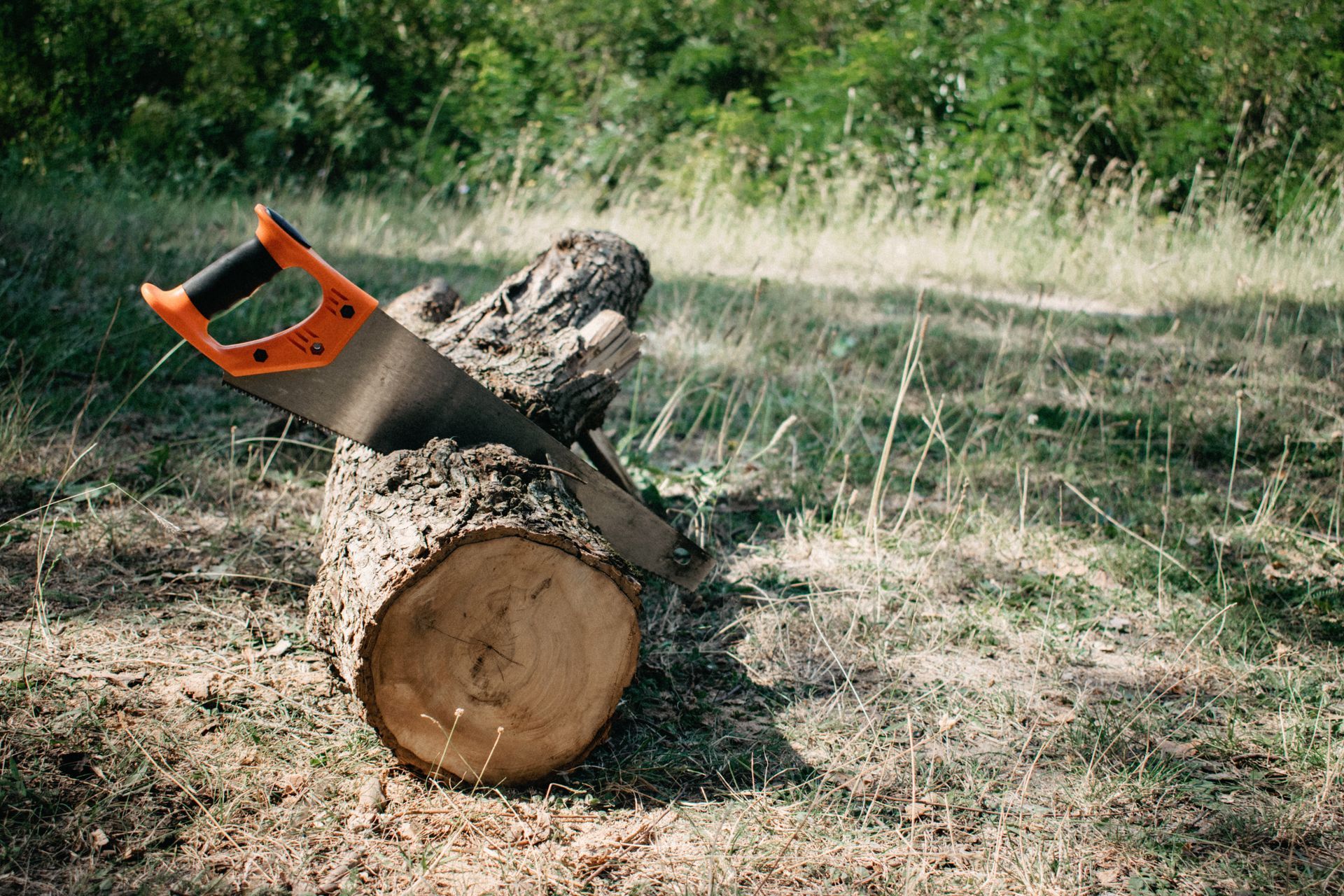 Efficient chainsaw in action cutting a thick log.