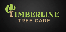 The logo for Daniel Ramirez of Timberline Tree Care Marin shows a tree with roots.