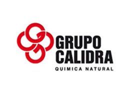 DISTRIBUIDORA TAPIA SA DE CV-CALIDRA