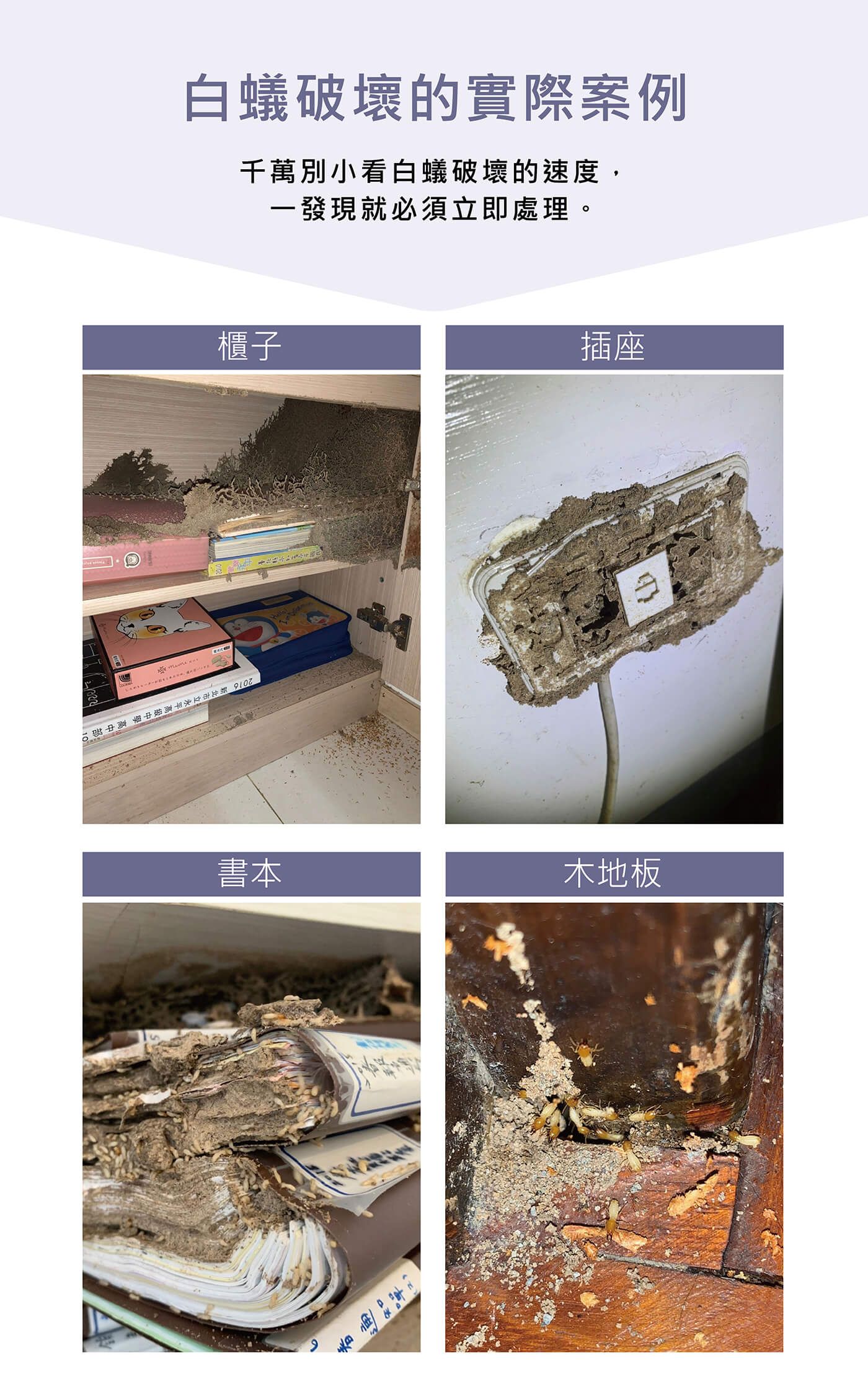 白蟻破壞室內木結構牆壁儲存物品實際案例對比，台北市新北市白蟻防治真實案例照片