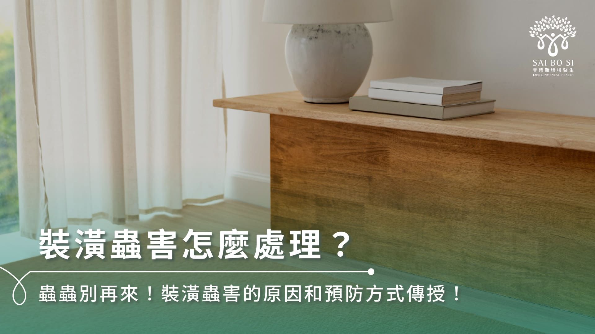 裝潢蟲害怎麼處理?蟲蟲別再來!裝潢蟲害的原因和預防方式傳授!