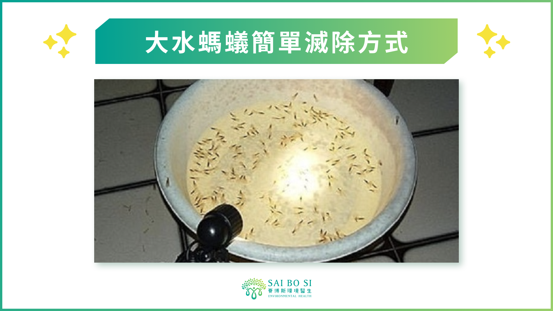 大水螞蟻簡單滅除方式