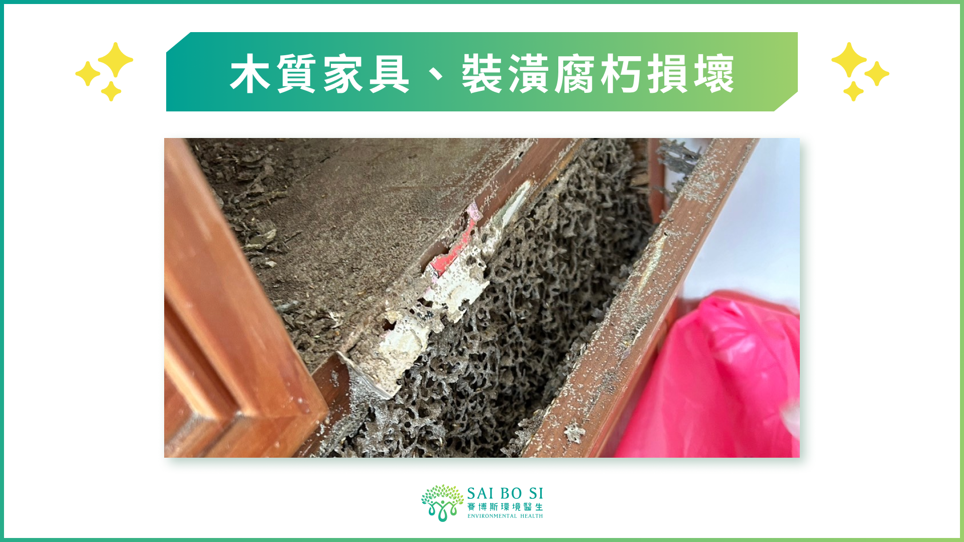 白蟻侵蝕導致的木質家具損壞圖片