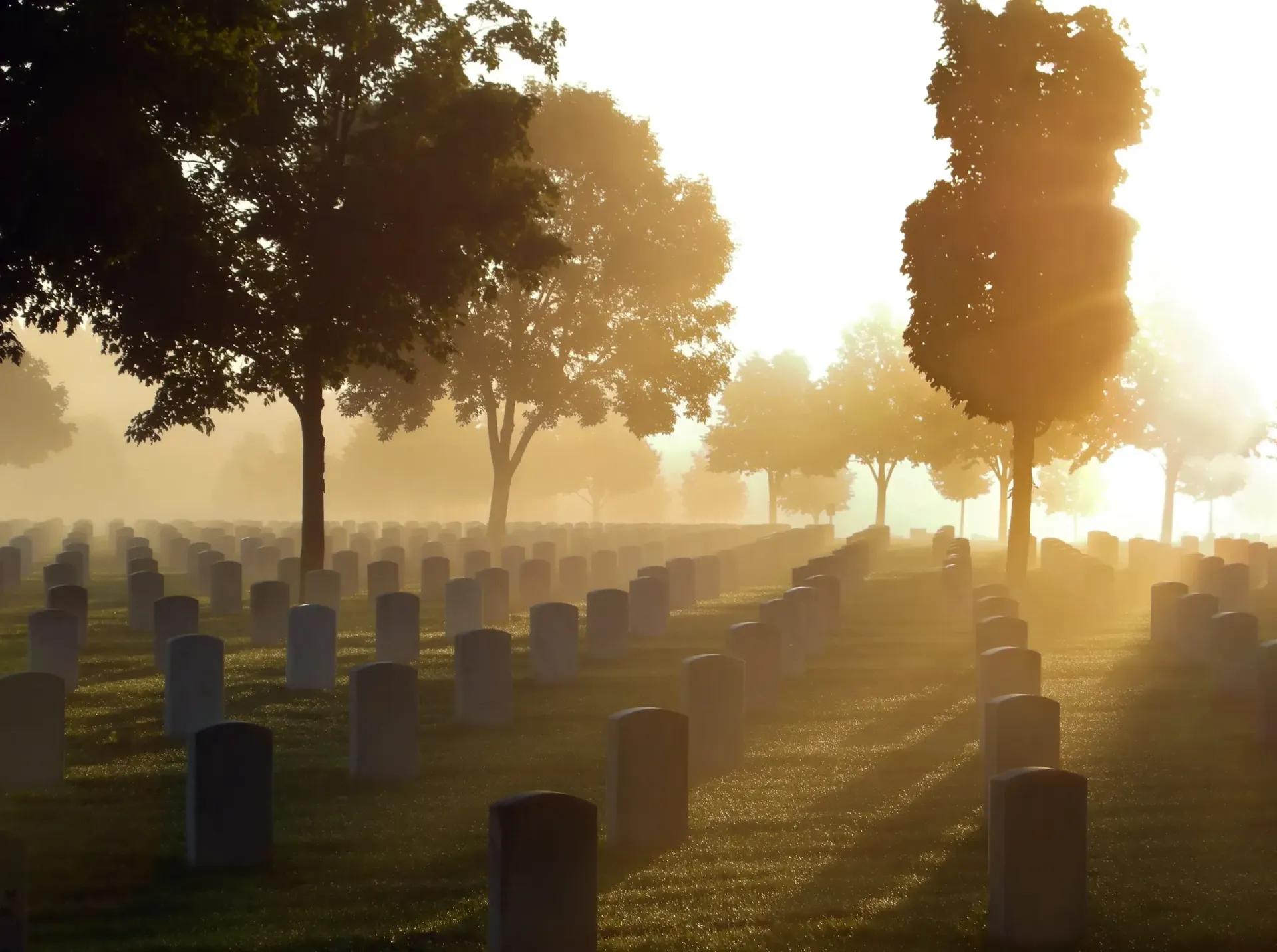 Sunlit cemetery with rows of gravestones and tall trees in hazy golden morning light
