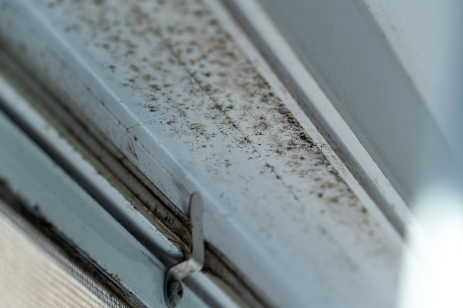 Window frame with mold growth.