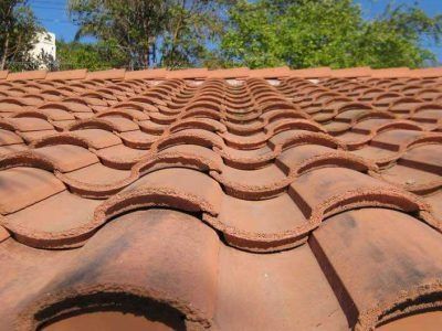 Close-up of terracotta roof tiles with trees and blue sky in the background