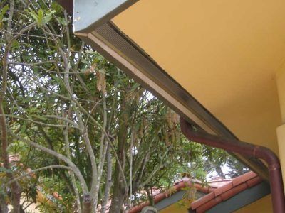 House eaves and a brown gutter beneath a beige roof, with trees and branches in the background