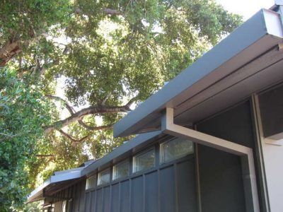 Modern building facade with dark windows beneath leafy trees