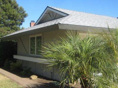 Single-story house with light siding, gray roof, and palm shrubs in front yard
