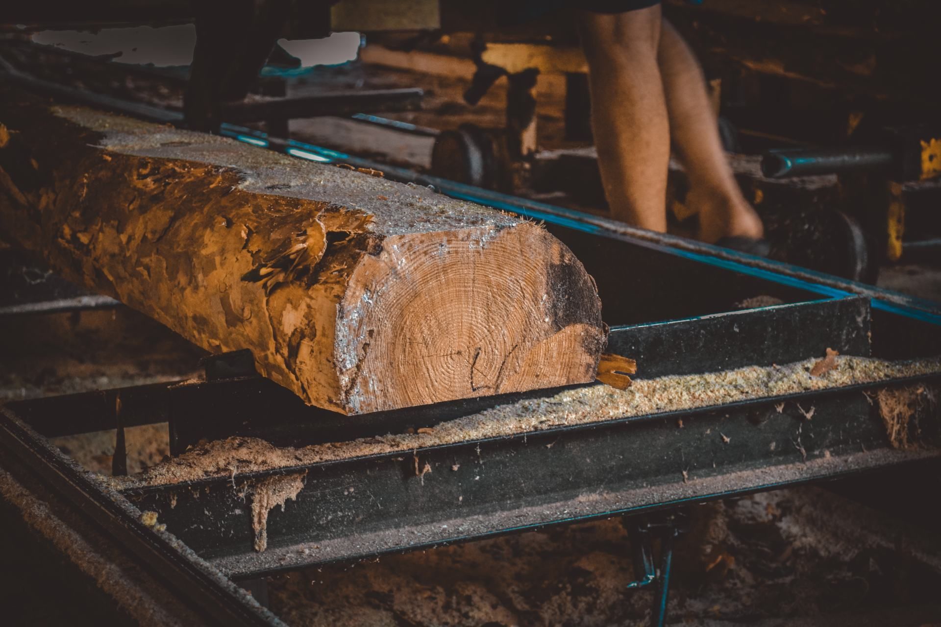 Timber Work