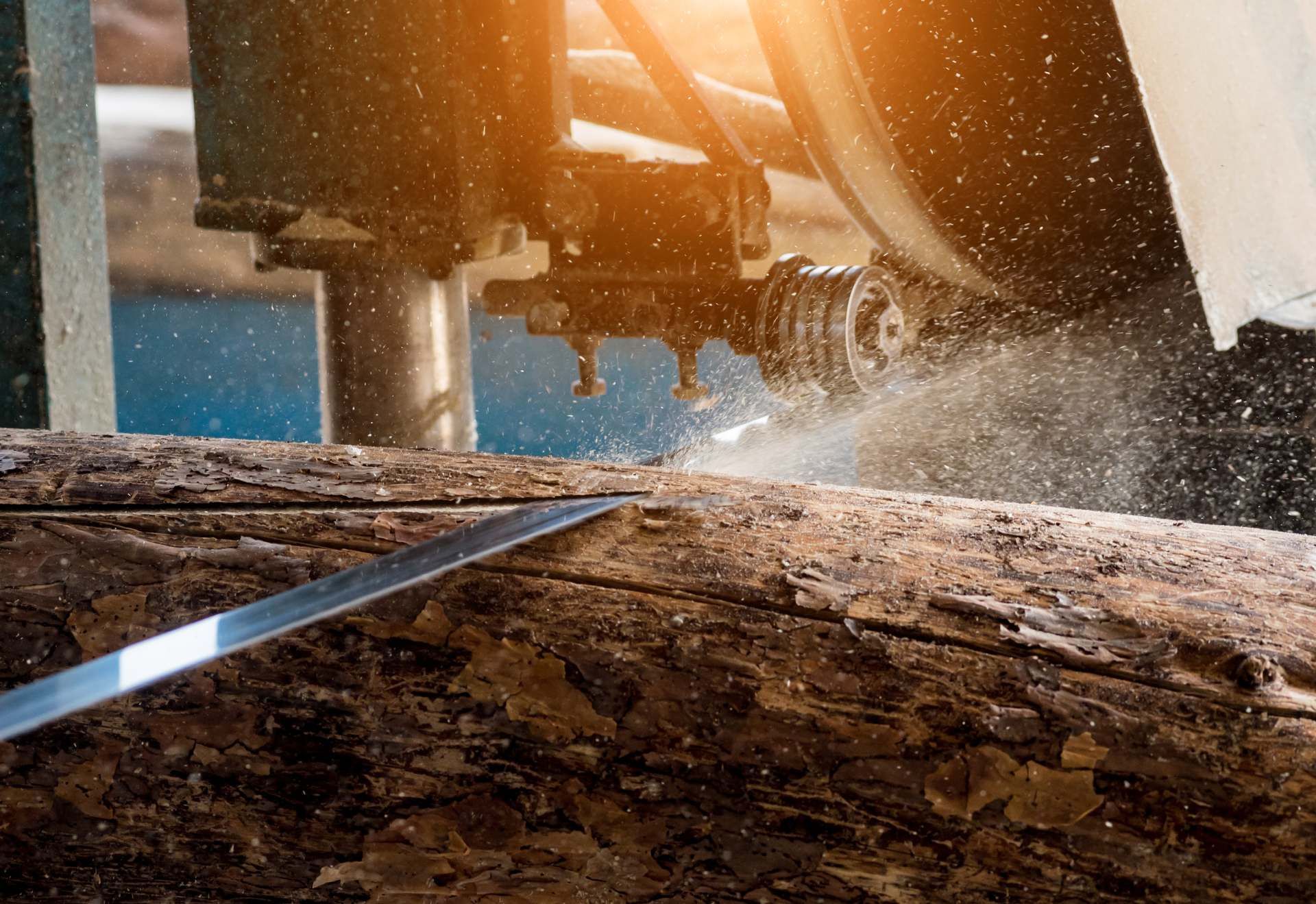 Wood Cutting