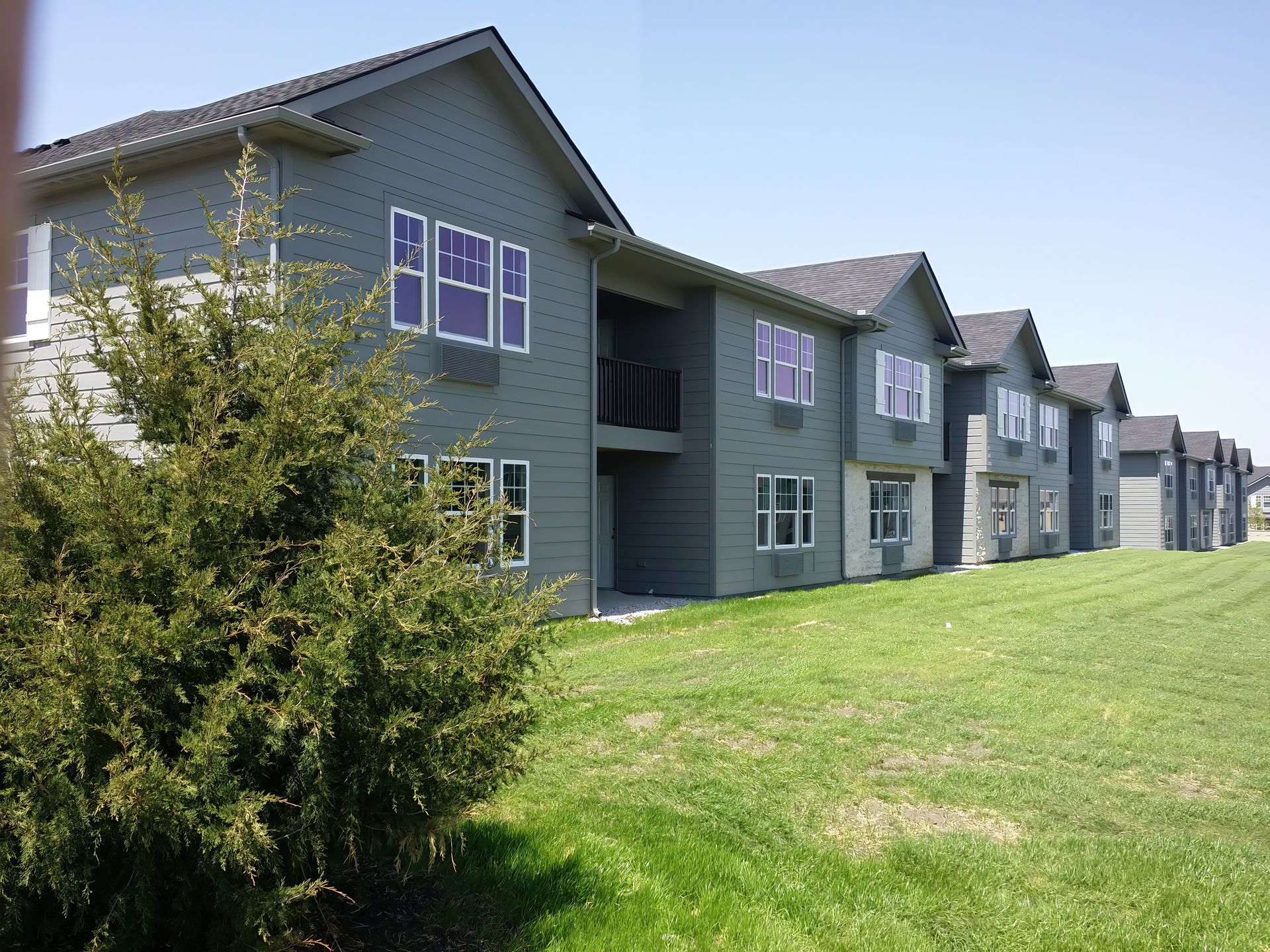 green outdoor space behind apartment building