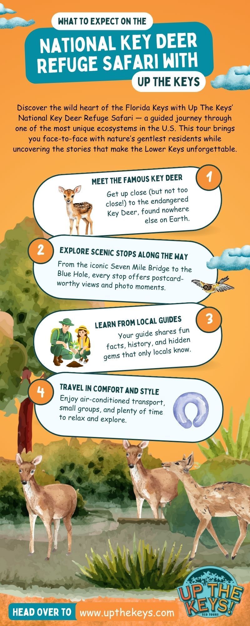 Infographic promoting Up The Keys’ National Key Deer Refuge Safari featuring Key Deer and tour highlights