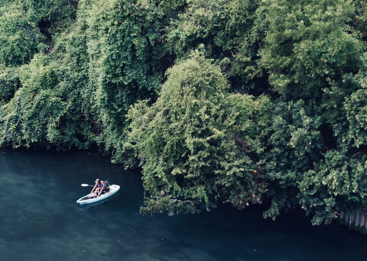 An aerial photo of kayakers paddling through the lush greenery.
