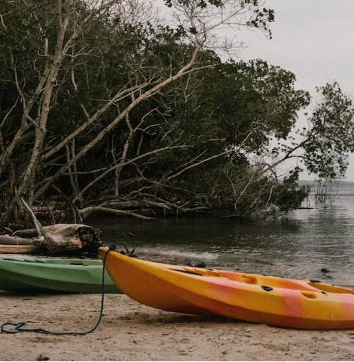 A picture shows a beach with two kayaks moored on the sand beside lush trees. 