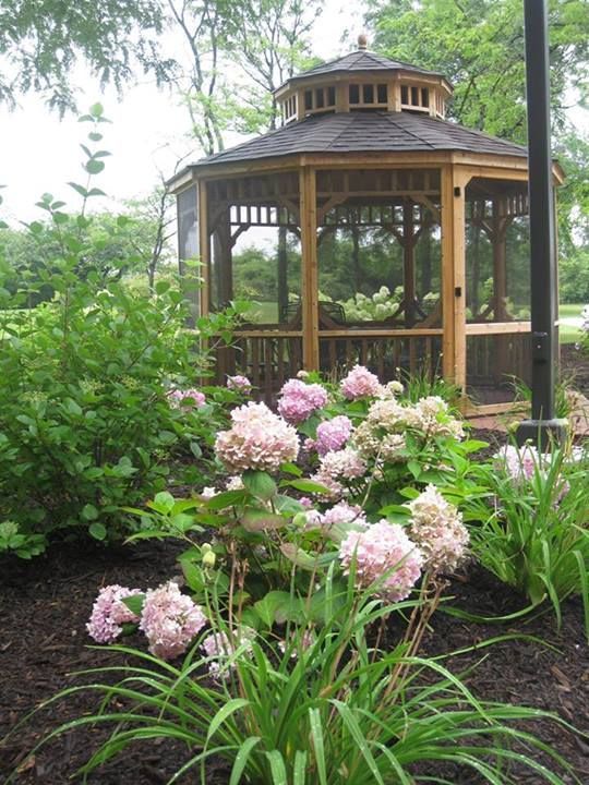 Wooden gazebo in a garden with pink hydrangeas and green foliage.