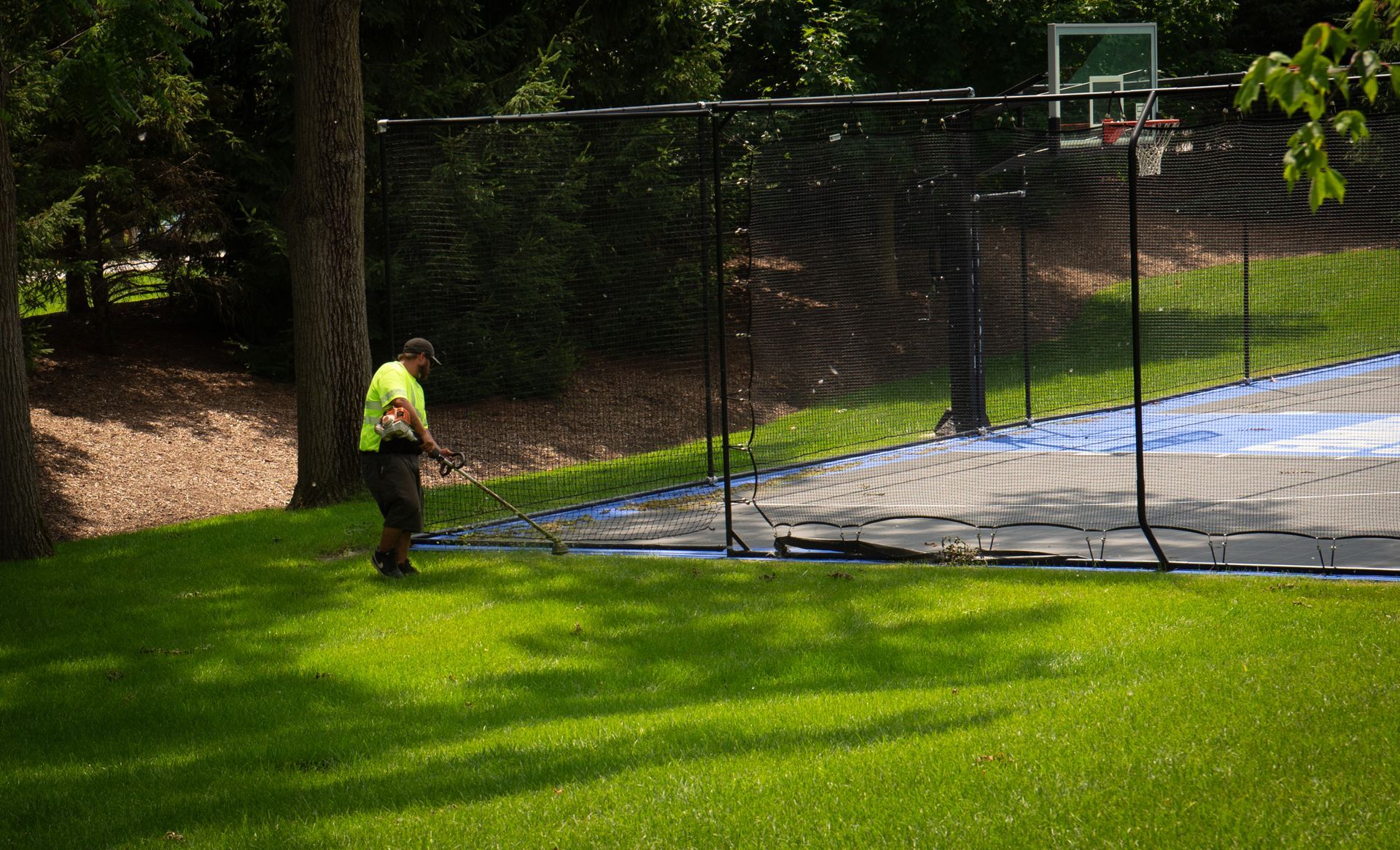 Person on lawn near basketball court with net, trees, and bright green grass.