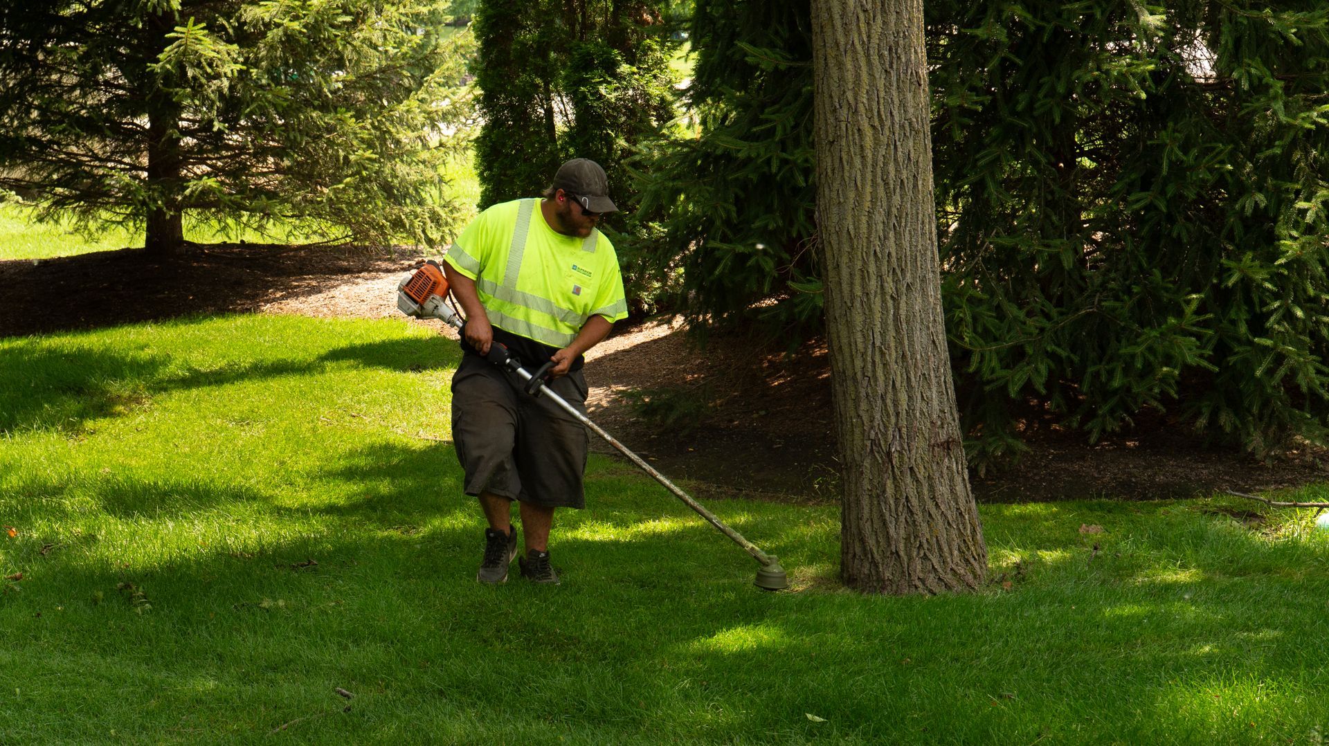 A person in safety gear trimming grass near a tree in a sunny yard.