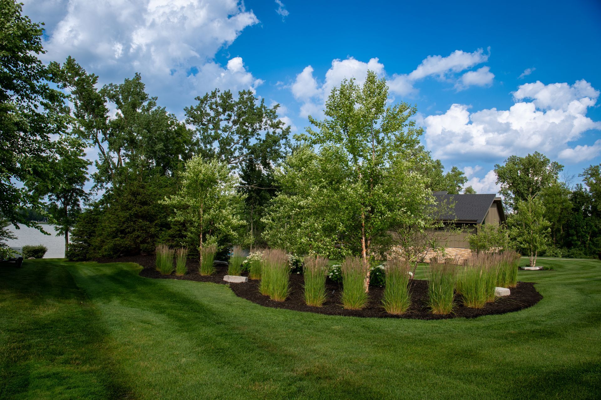 Green lawn with trees and a bed of ornamental grasses under a bright blue sky.