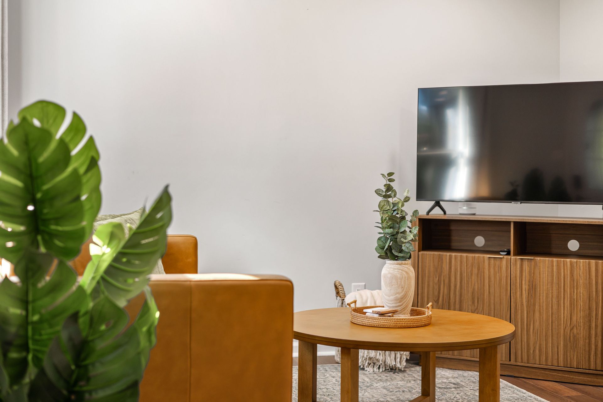 Modern living room with mustard sofa, wooden coffee table, TV, and large green plant in the foreground