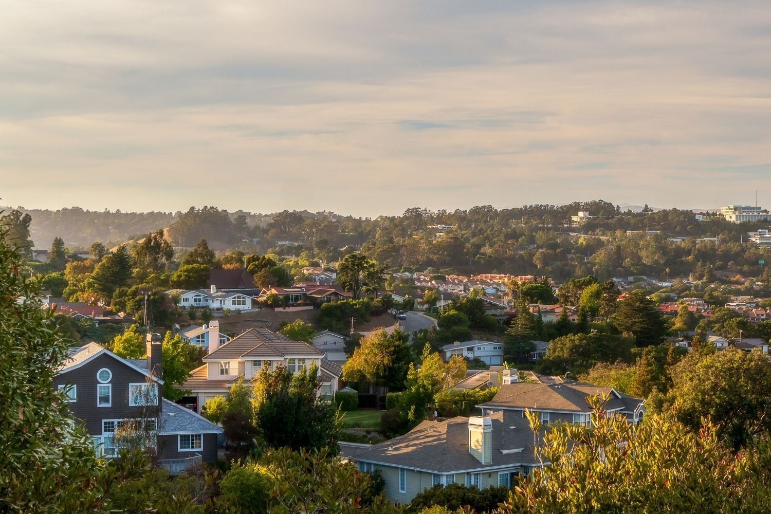 Sunlit suburban neighborhood with houses and trees under a pastel sky