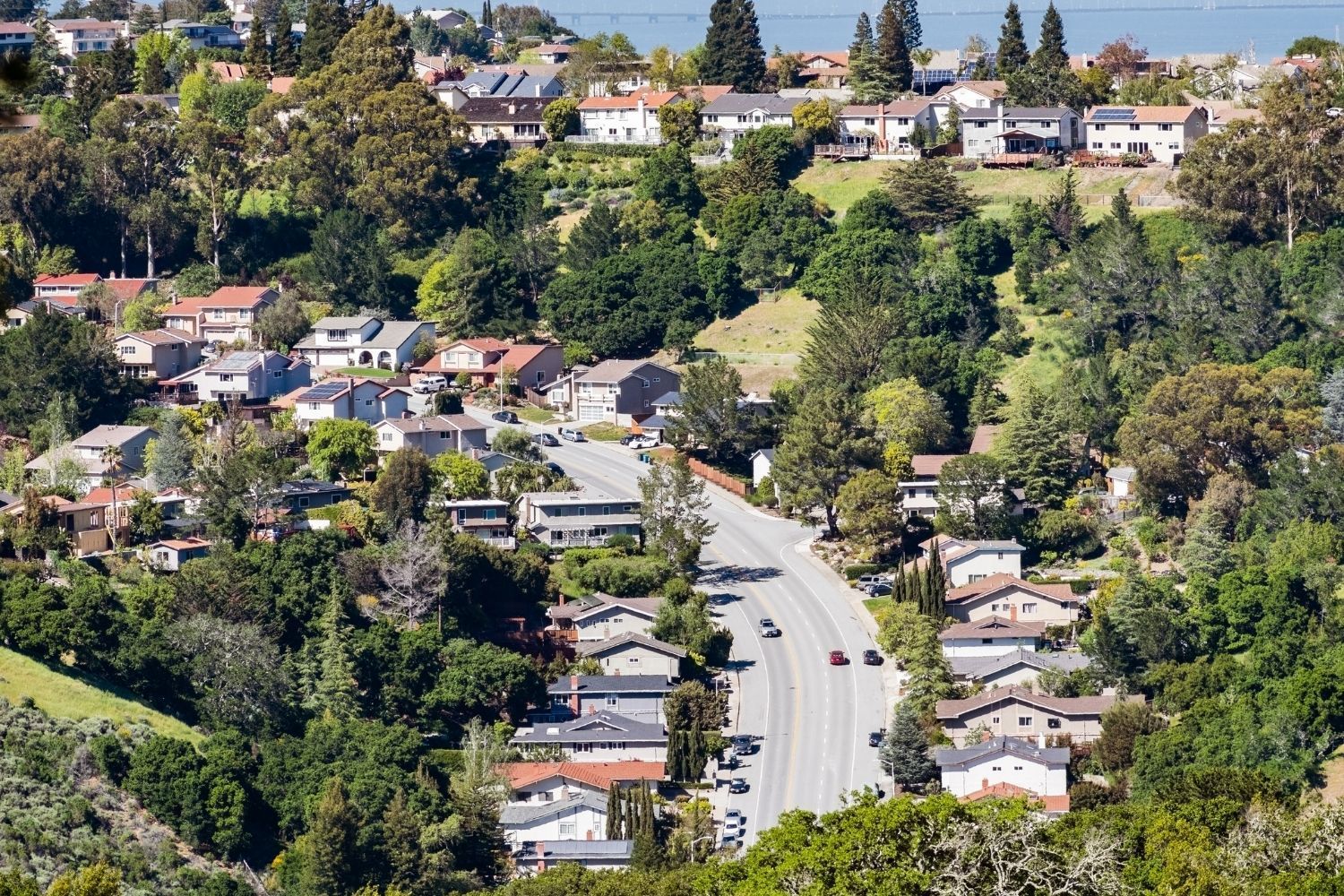 San Carlos