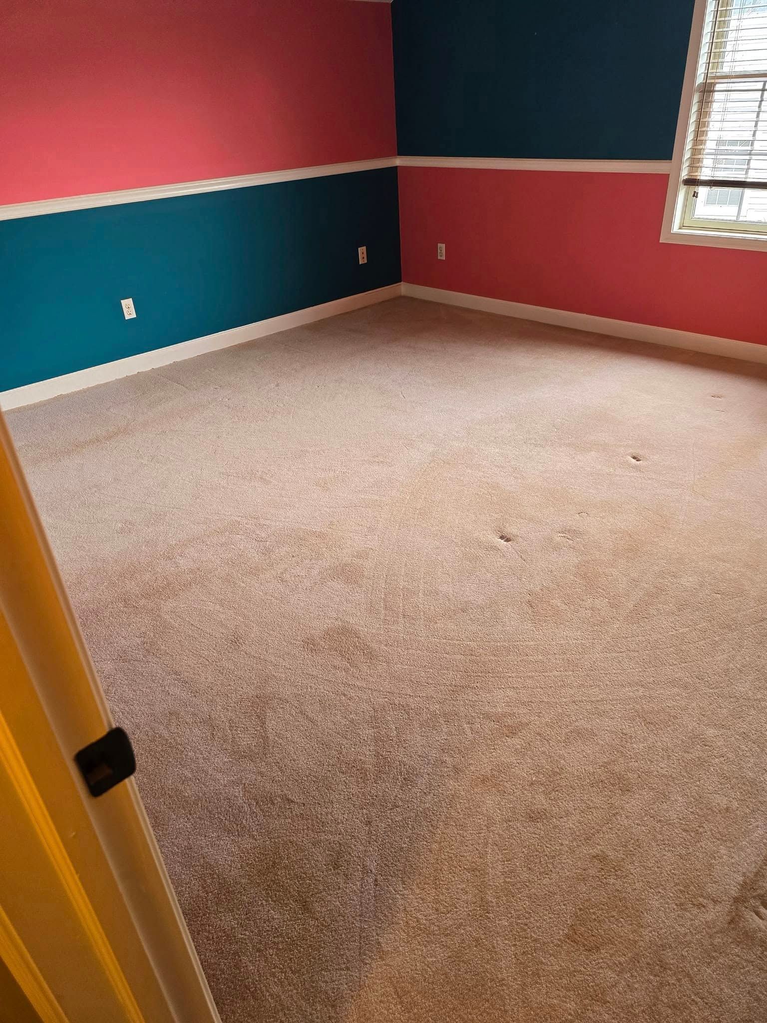 Empty carpeted bedroom with red and teal walls and a window with blinds