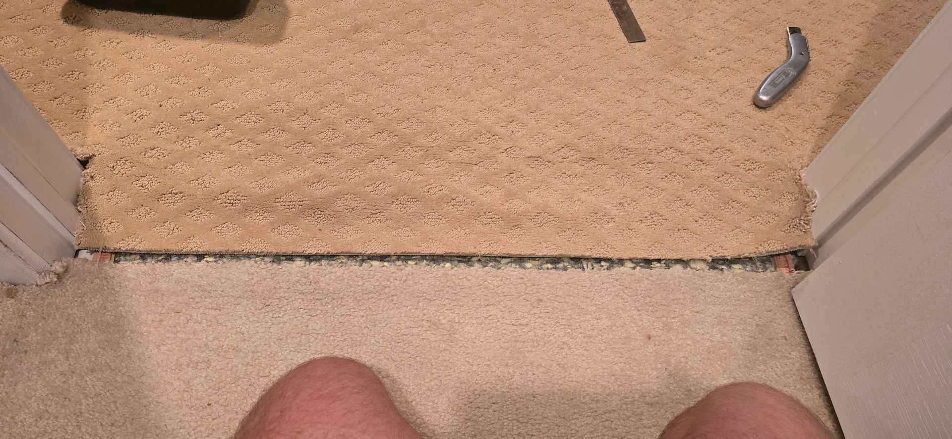 Carpeted floor by a threshold with two feet visible and small pieces of debris on a tan surface above.