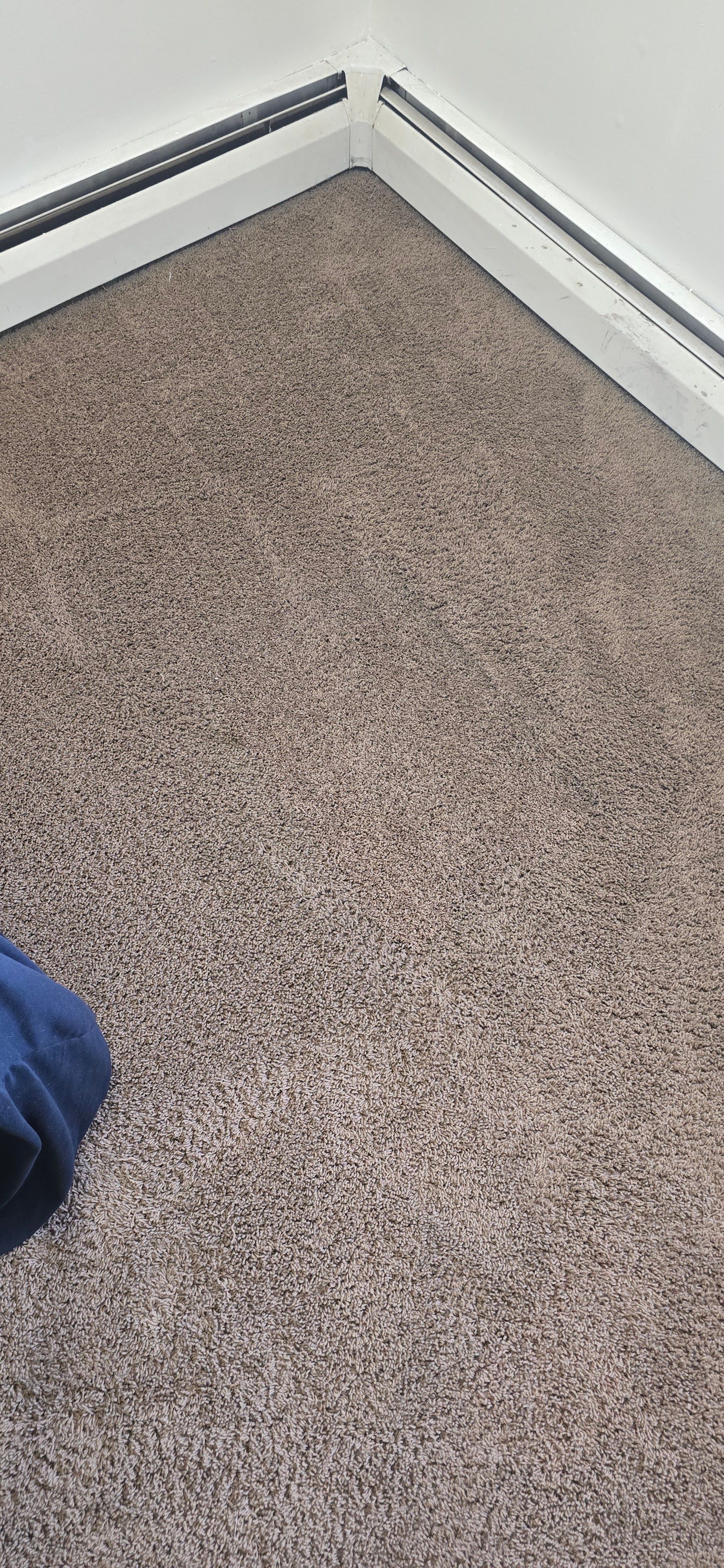 Carpeted room corner with white baseboards and a partial view of a blue shoe at lower left.